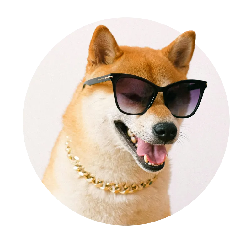 Pet Parent SA - Shades