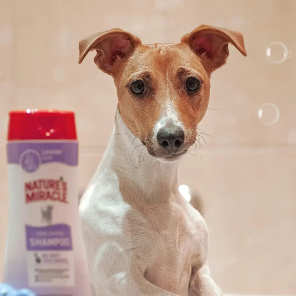 Pet Parent SA - Organic Care