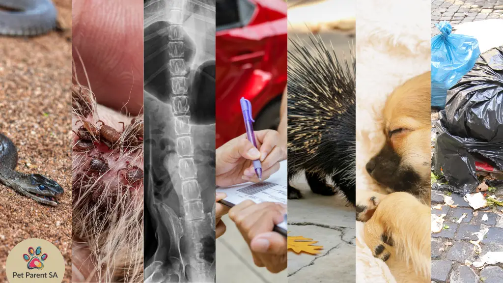 PPSA - Dog Emergencies