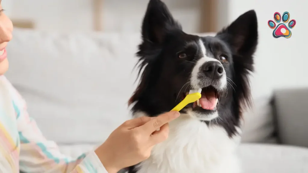 Pet Parent South Africa - Dog dental Hygiene